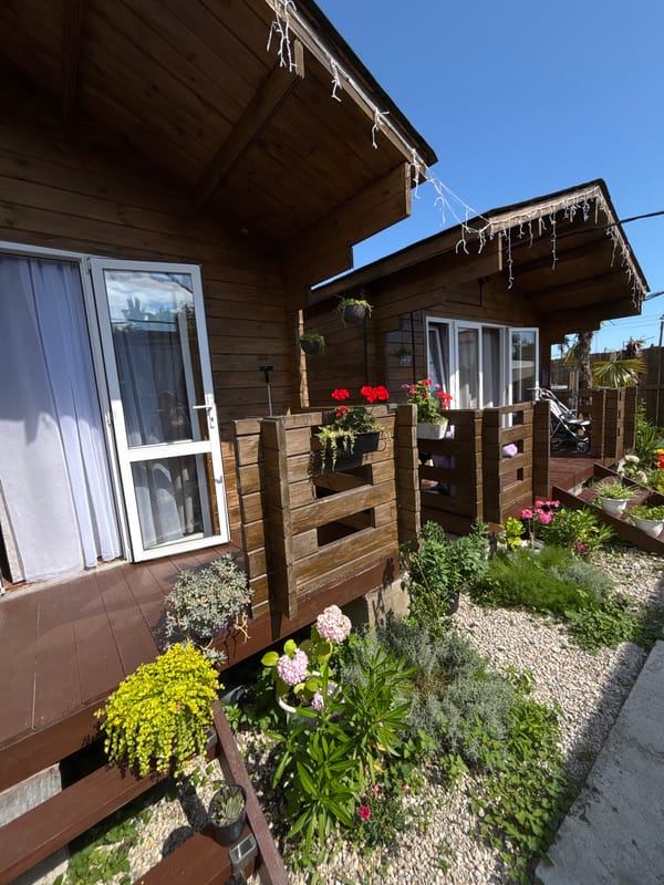 Rustic bohemian guesthouse grounds in Gudauta, Abkhazia