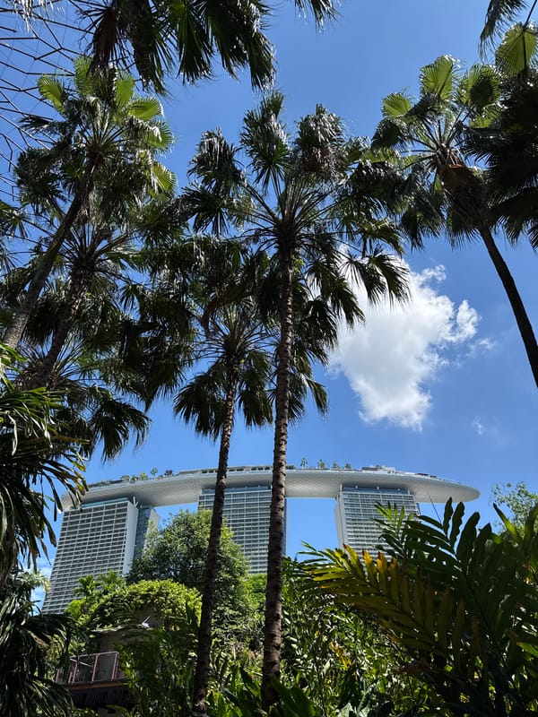 Early morning Marina Bay Sands sighting includes wandering bantam chicken