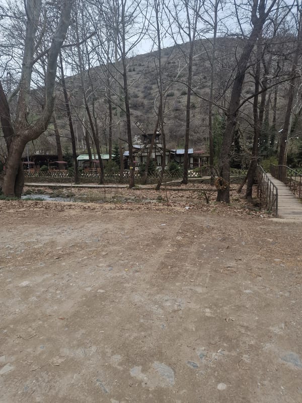 Spring waterway and woodland path documented in Parvenets, Bulgaria