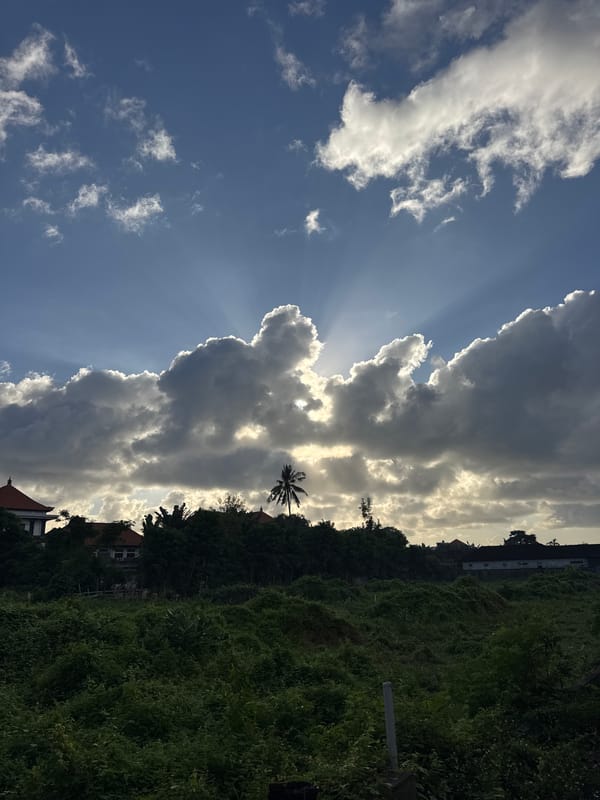 Women's exercise class draws children, cow in Kuta