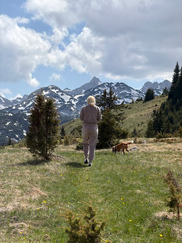Woman enjoys mountain wildflowers with dog in Montenegro