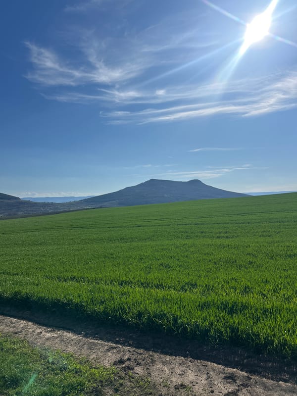 Rural agricultural landscape observed in Cherencha, Bulgaria