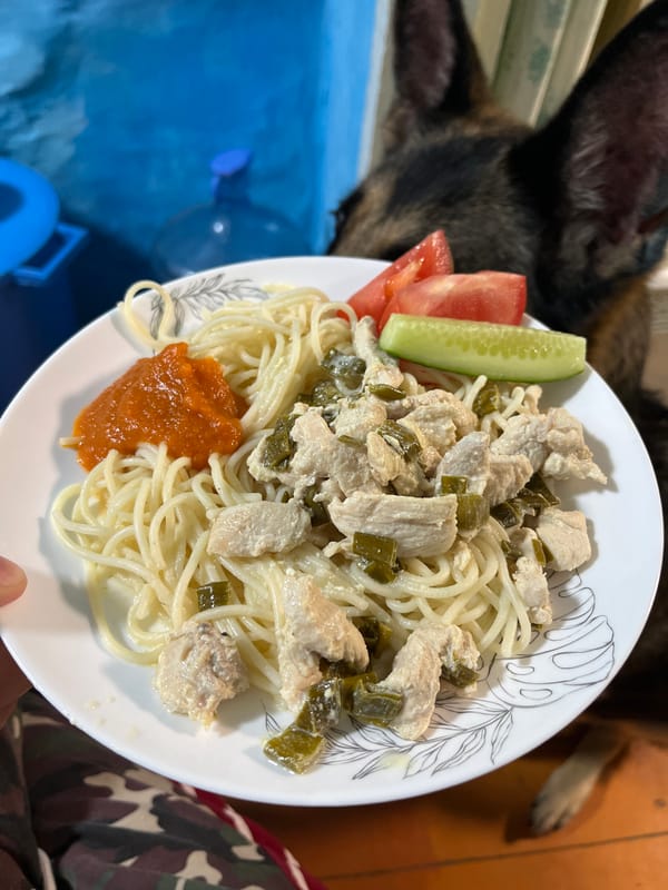 Pets, pasta, and pastry: a cozy afternoon at home in Nizhny Tagil