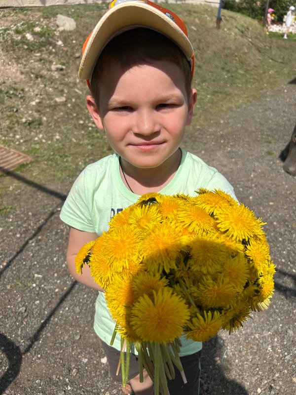 Child gathers dandelion bouquet in Noviy, Russia yard