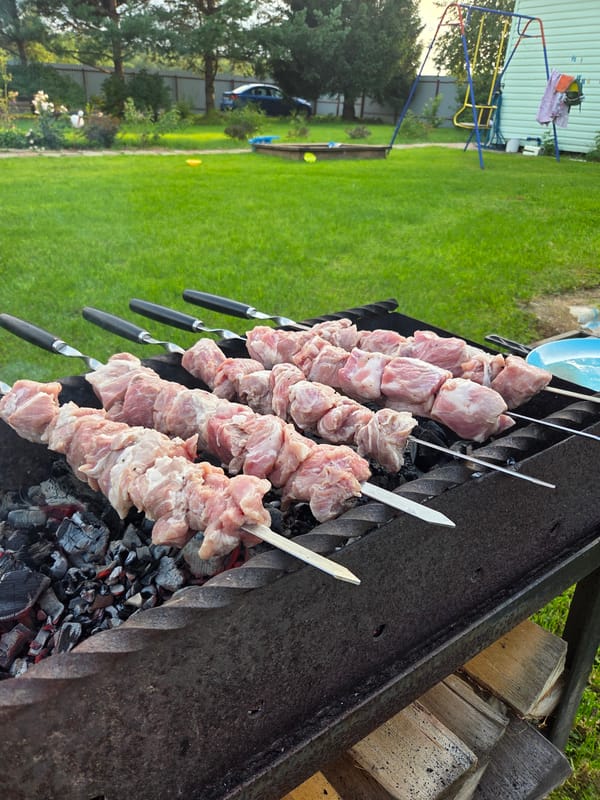 Backyard summer afternoon in Frolovo: grilling, snails, and roses