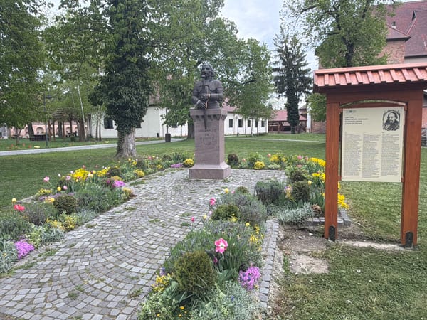 Witness documents historic landmarks across Târgu Mureș, Romania