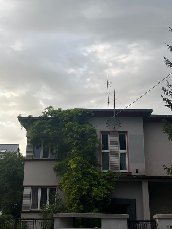 Summer evening on quiet streets: hydrangeas, stairplay, and moody skies