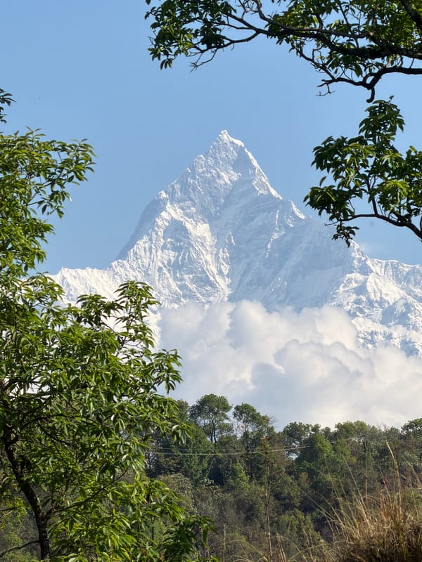 Tourist views snow-covered Himalayas from Pokhara overlook platform