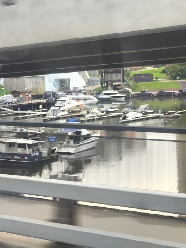 Woman photographed at waterfront marina under overcast skies