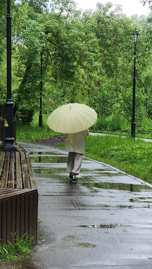 Morning rain shower documented across Moscow park by witnesses