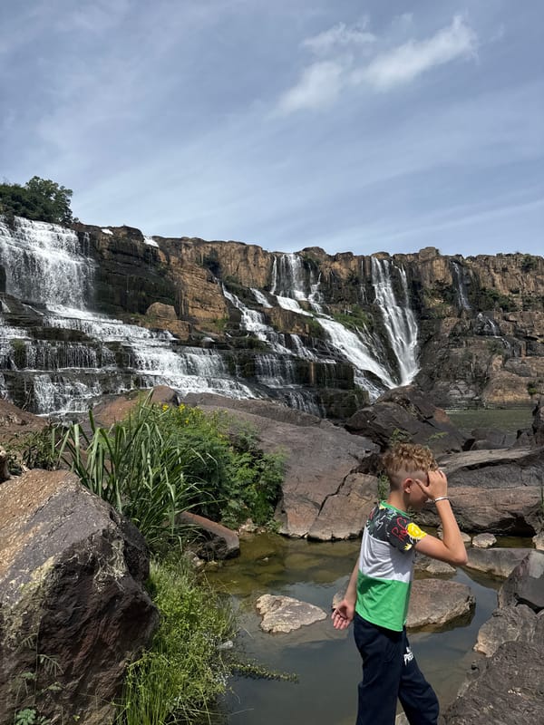 Pongour Waterfall and tropical blooms, Tân Phú, Vietnam