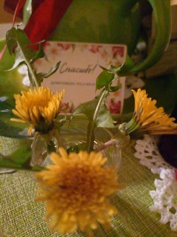 Sunset street scene captured in Hrodna, Belarus