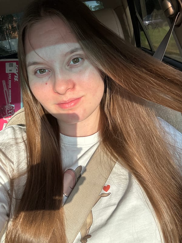 Passenger seat moment, sunlight through the window, Noviy Russia