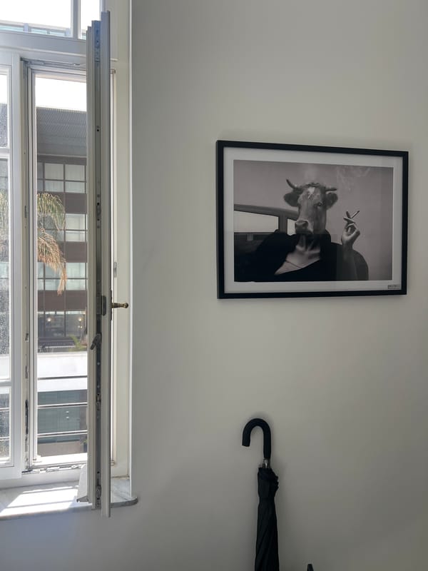 Morning snapshots capture everyday Tel Aviv street and home scenes