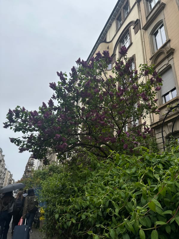 Travelers navigate rainy Strasbourg streets with luggage Sunday afternoon