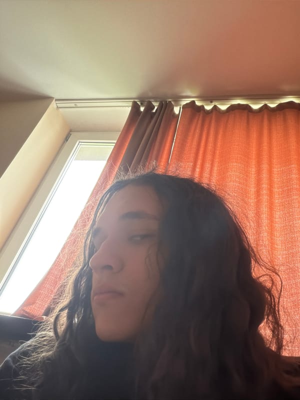 Person observed near window in Plovdiv, Bulgaria