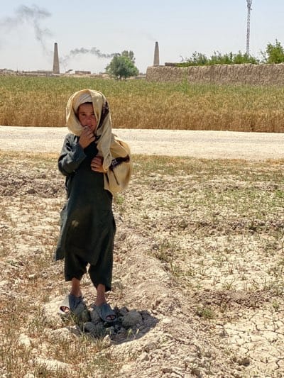Morning farming activity captured in rural Afghanistan village
