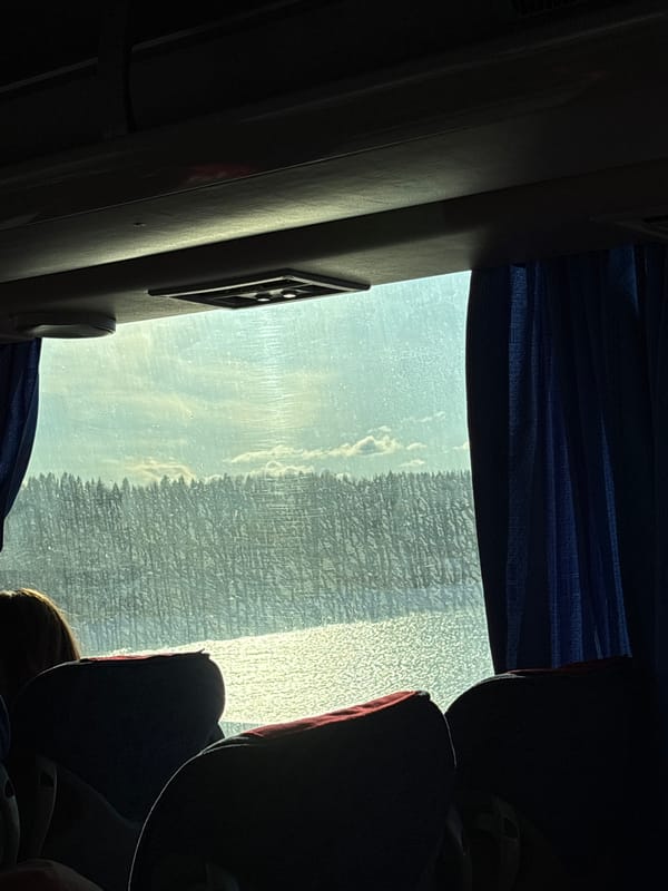 Bus passengers document scenic journey through Usolye, Russia