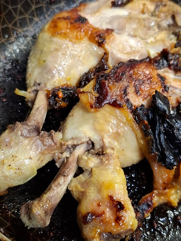 Grey tabby cat photographed in multiple poses, Novi Sad