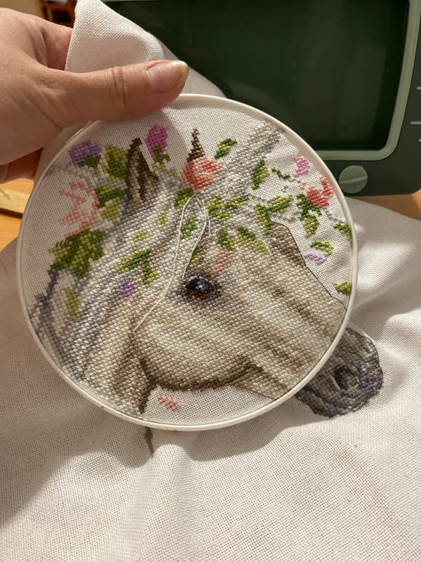 Cross-stitch crafting session documented during Yekaterinburg sunset