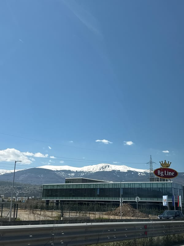 Bg Line building photographed with international flags in Bulgaria