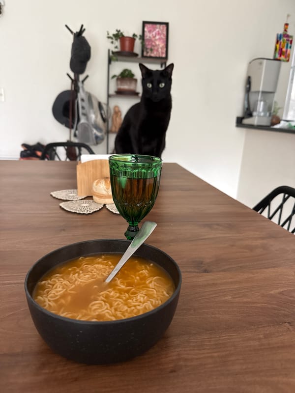 Evening domestic scenes documented in Cuernavaca residence