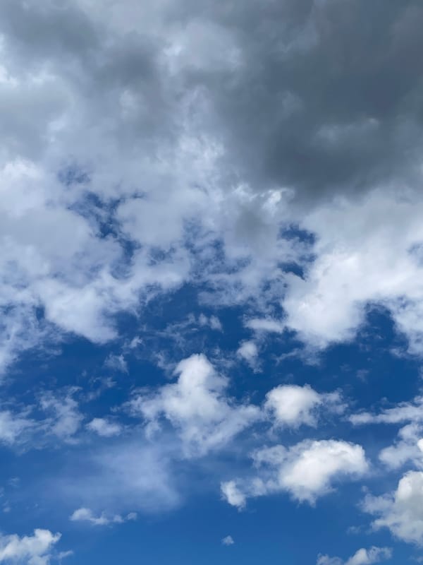 Storm clouds gather while cat rests peacefully indoors