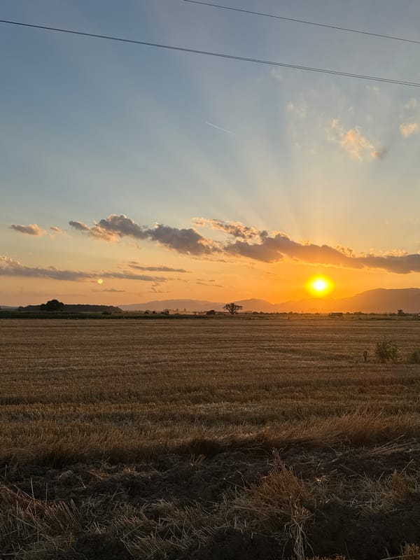 Harvest sunset over the fields and rooftops of Blatets, Bulgaria