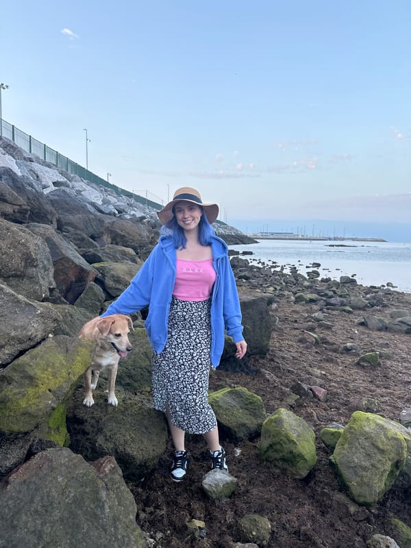 Evening beach exploration with dog documented in Gijón, Spain
