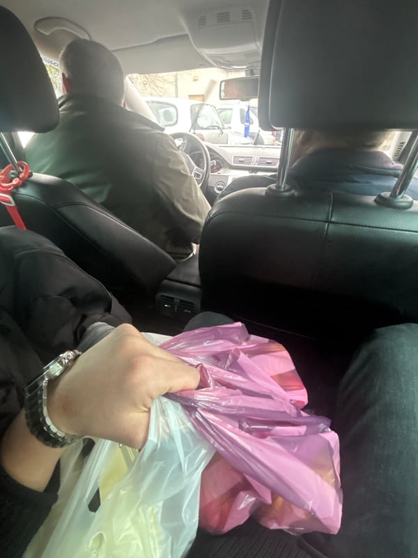Passenger with shopping bags travels by car in rainy Zlatograd