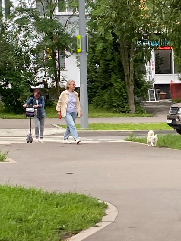 Morning commute and street scenes in Khimki, Russia