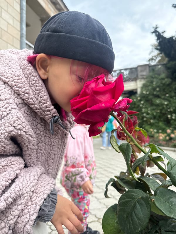 Pink-haired child explores coastal city gardens and parks
