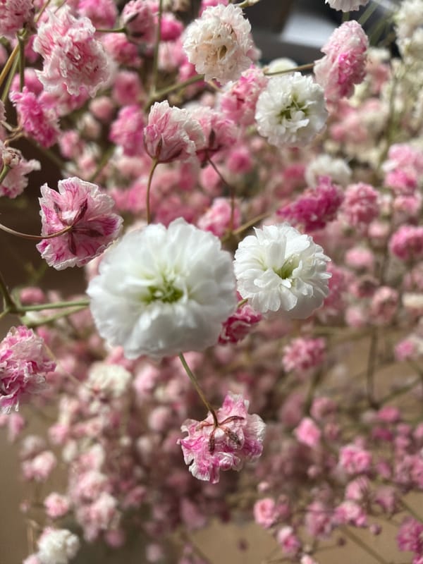 Spring flower arrangements documented in Rusalevka, Russia