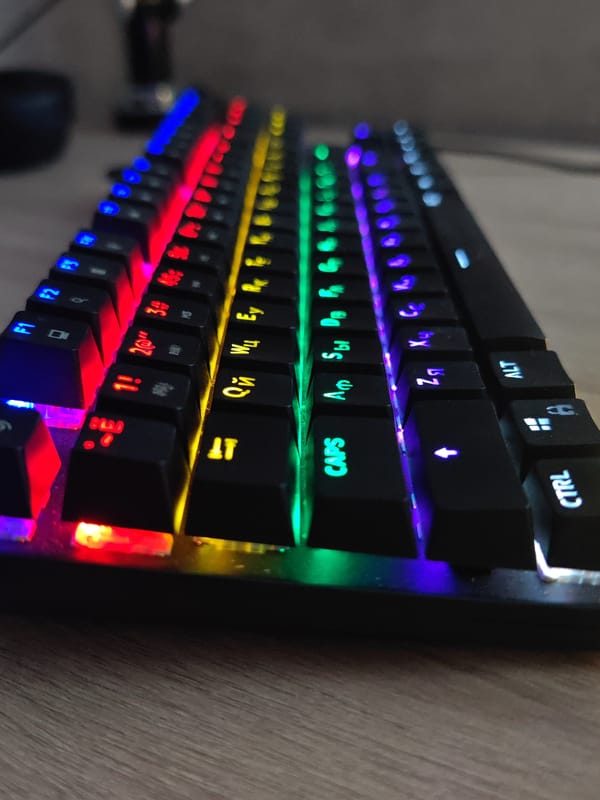 Resident documents evening computer gaming session in Hrodna apartment