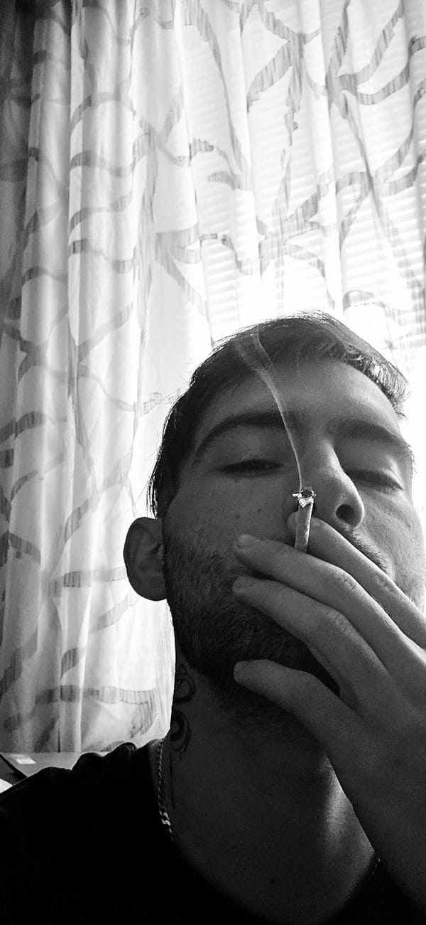 Quiet morning moments documented in Kostenets, Bulgaria