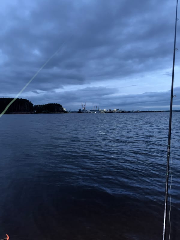 Evening fishing session documented at Votkinsk Reservoir, Chaikovsky