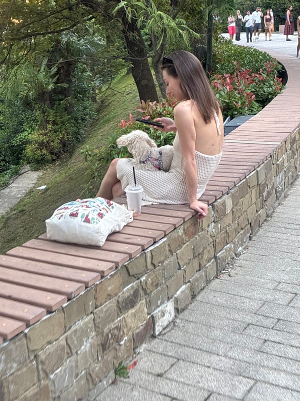 Afternoon in a Sochi park, waterfront, and gardens