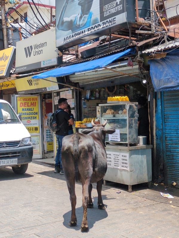 Tibetan Buddhist life and street scenes in Dharamshala
