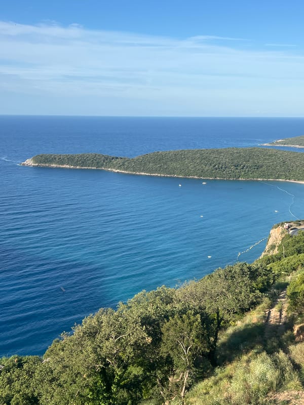 Adriatic coastline, blooming flowers, and construction along the Montenegrin coast