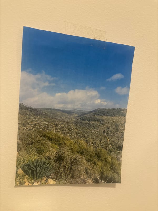 Landscape photograph displayed on wall in Givatayim