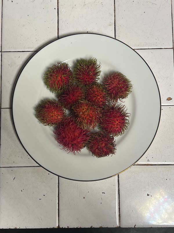 Kitchen fruits and wall geckos observed in domestic setting
