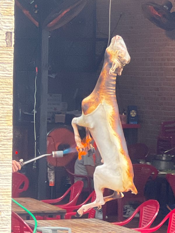 Food vendor processes goat carcass with torch in Nha Trang