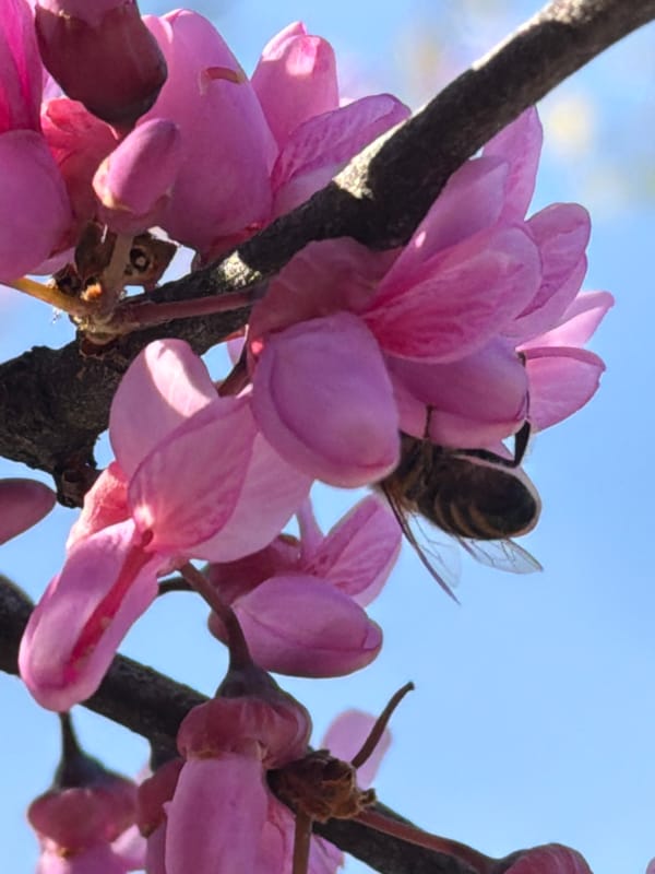 Spring afternoon moments captured across Rijeka, Croatia