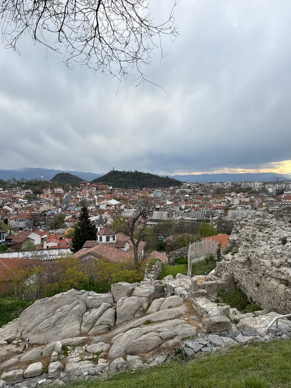 Panoramic city view shows red rooftops, greenery from elevated position