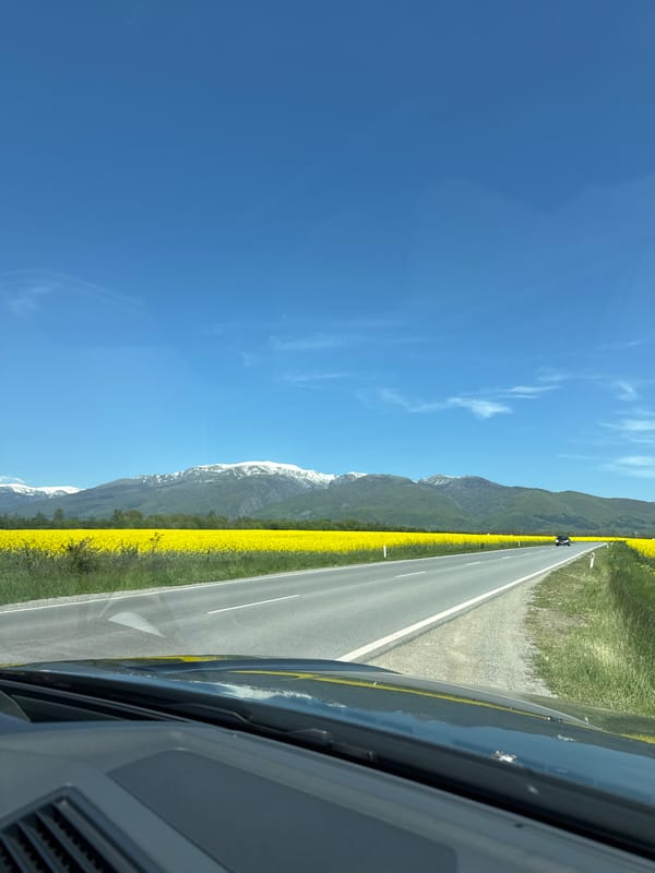 Rural mountain drive through yellow flower fields documented