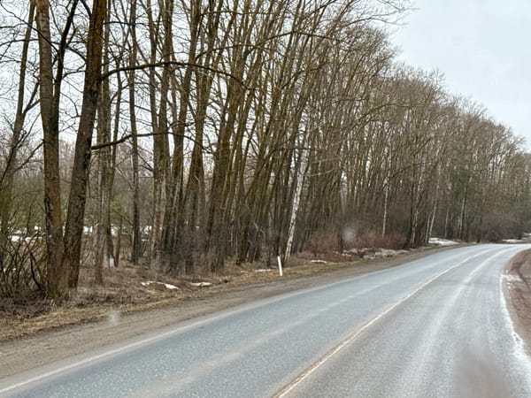 Spring road scene captured in rural Rusalevka, Russia