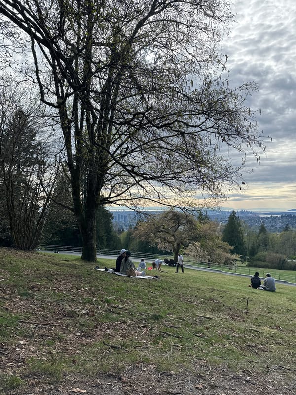 Late night gathering, baseball game on Burnaby hillside