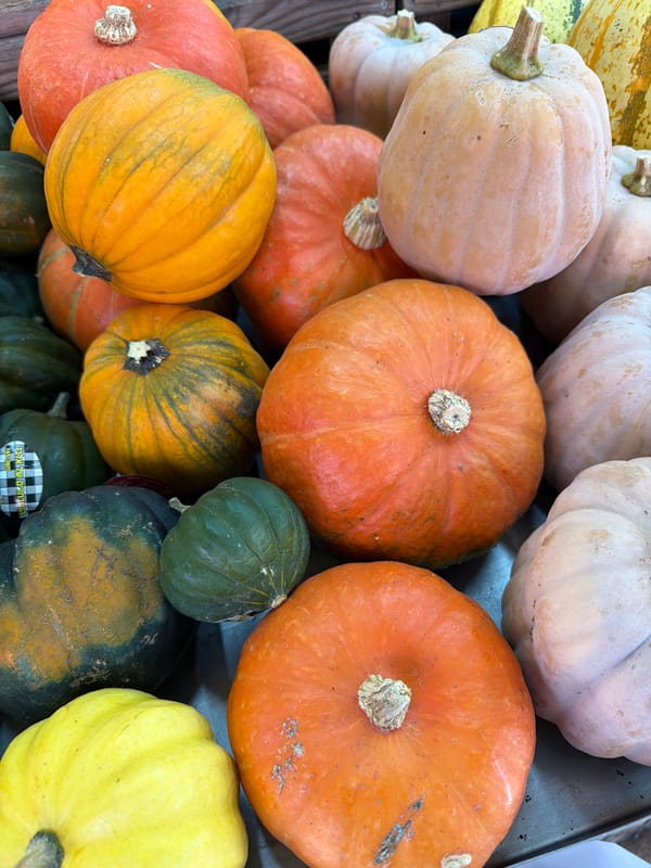 Tel Aviv market overflows with gourds, sunflowers, and red blooms
