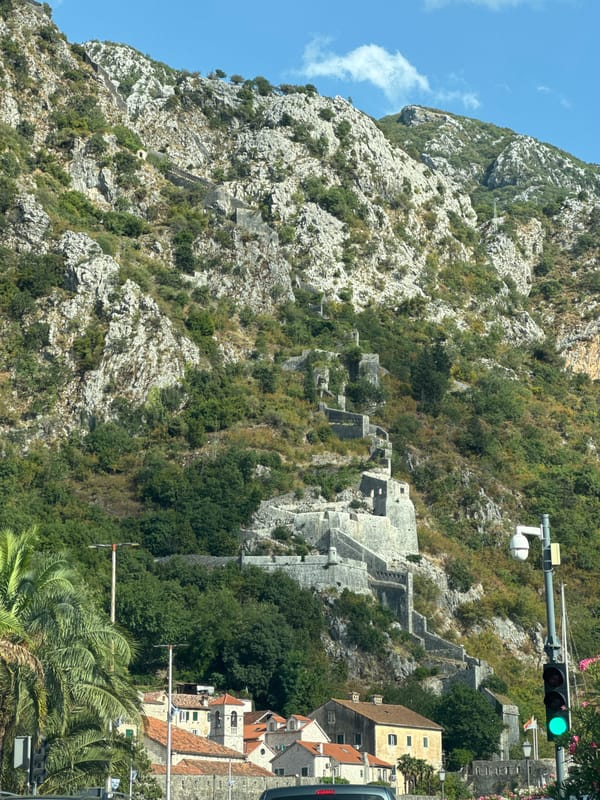 Kotor's waterfront and fortress walls on a summer afternoon