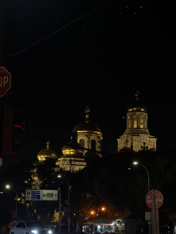 Evening scenes in Varna feature illuminated cathedral, playful dogs